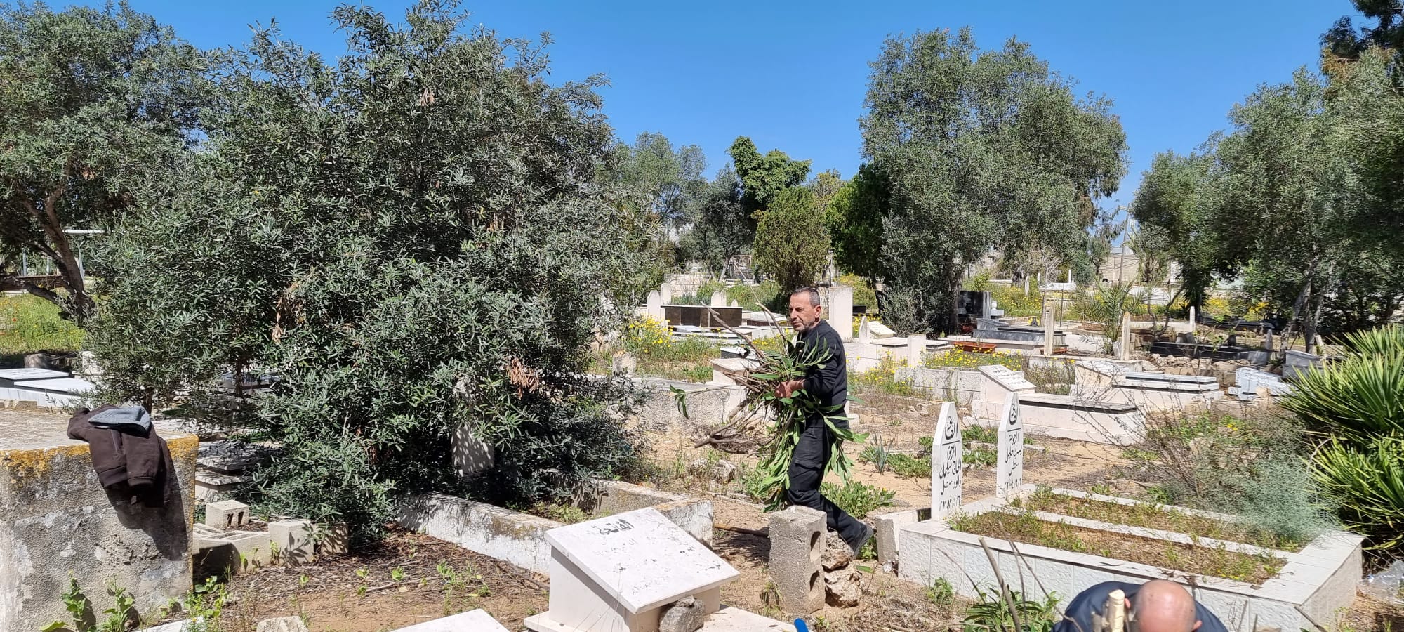 WhatsApp Image 2023-03-18 at 11.16.16 AM.jpeg